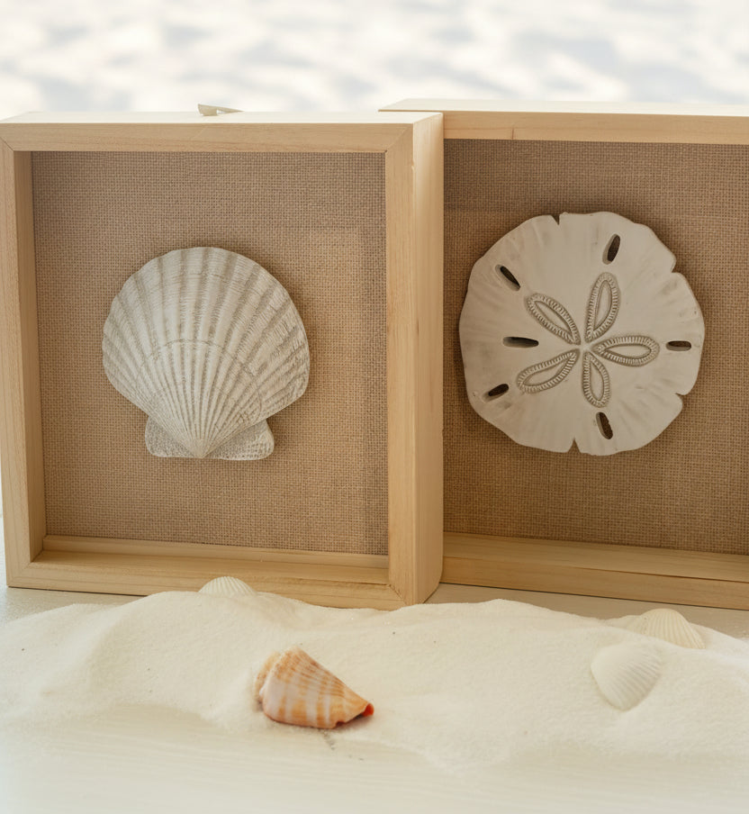 Sea shapes decor wall set
