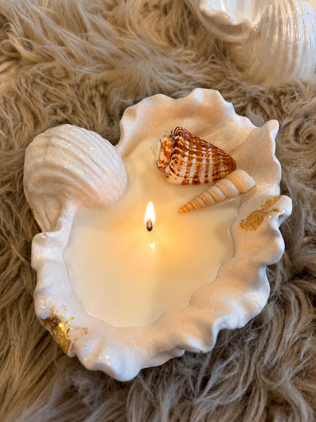 “The shell ”• soy wax • 8oz